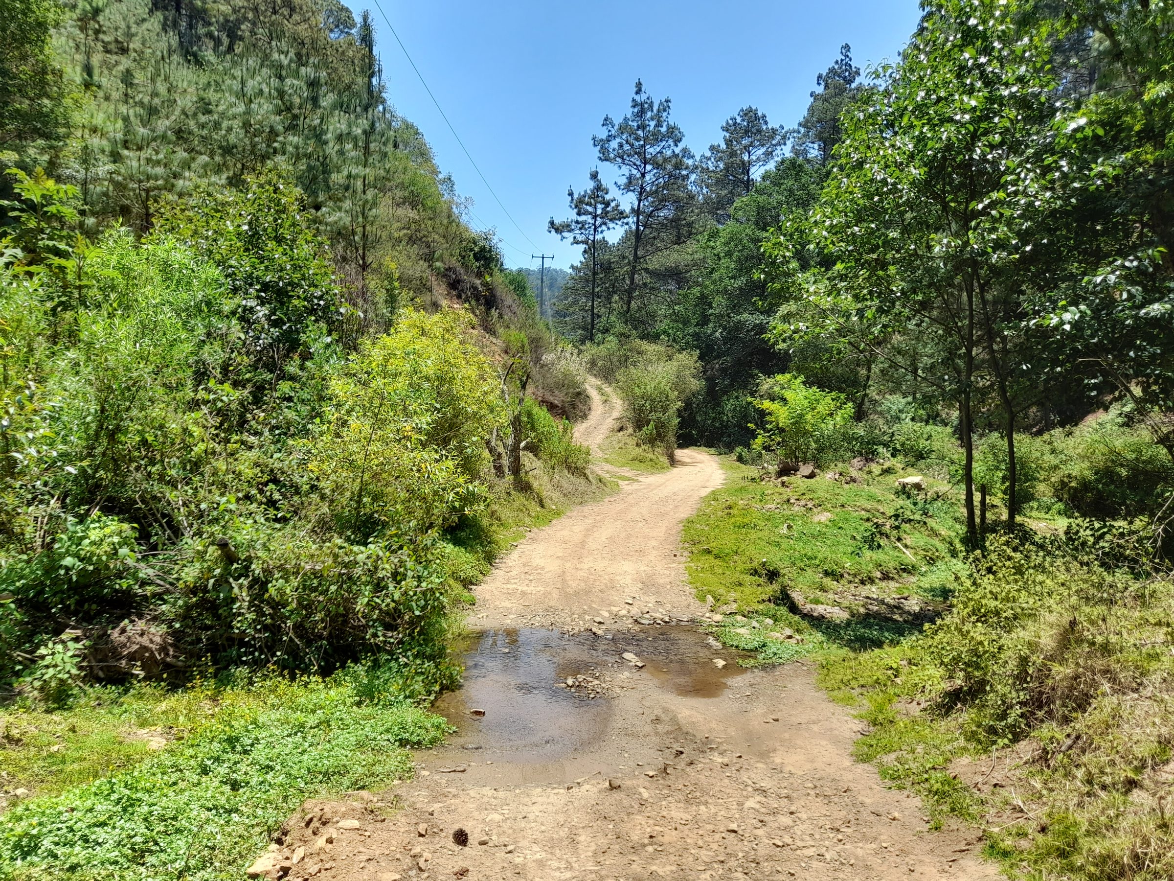 Hiking San José | San José del Pacifico