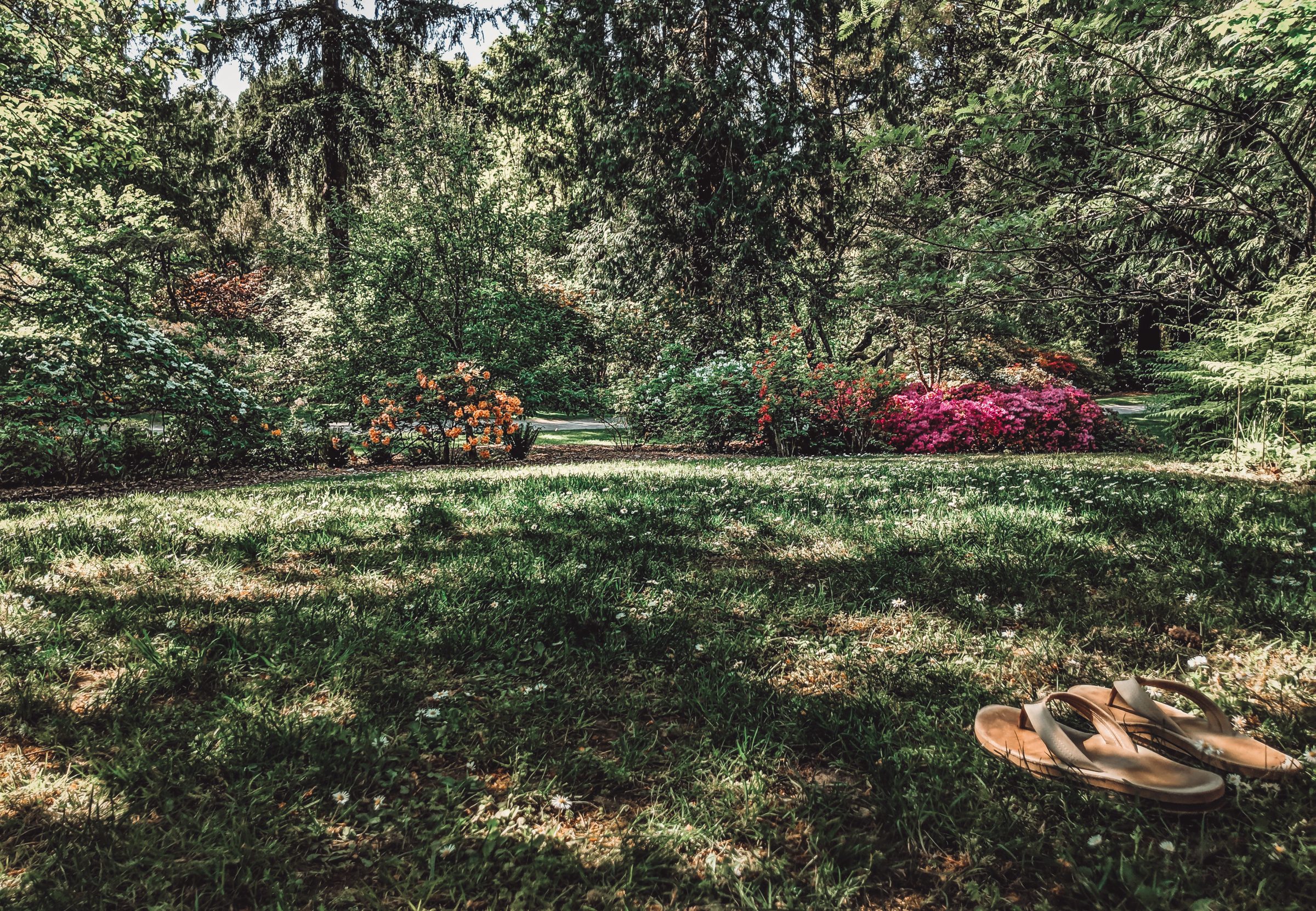 Washington Park Arboretum | Tips voor Seattle