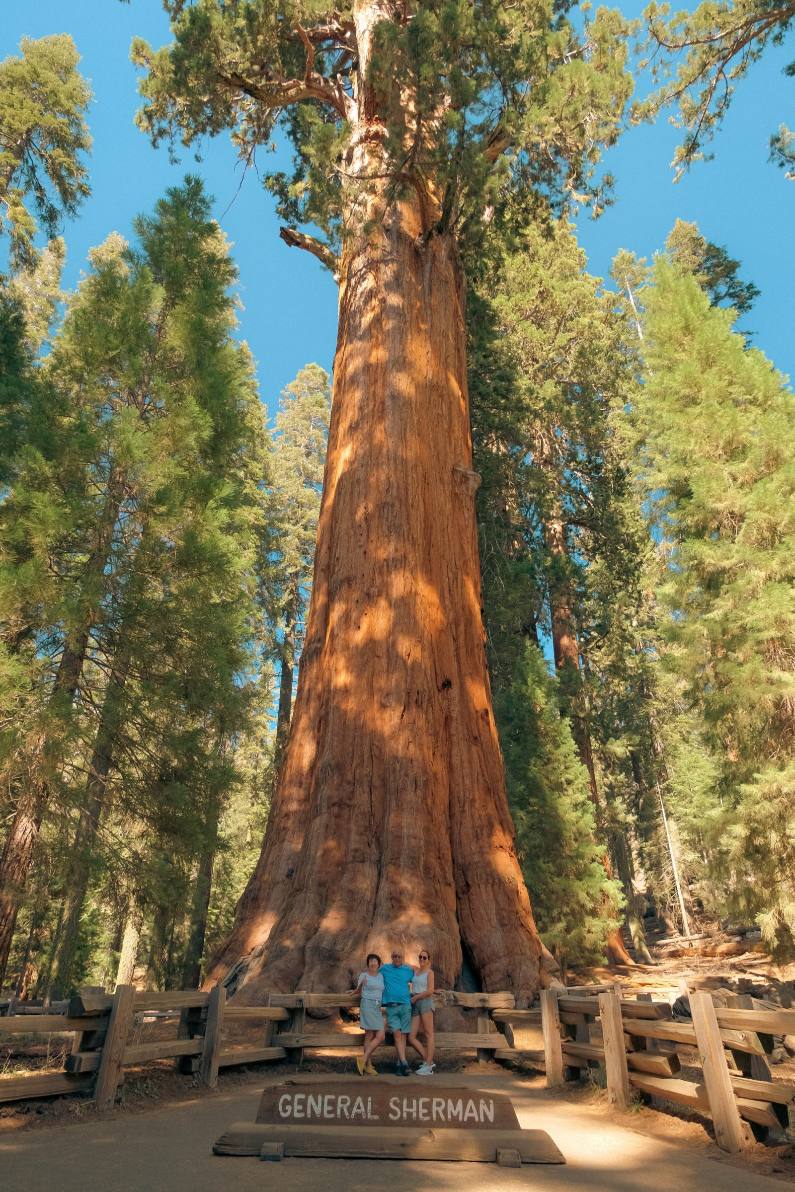 Generál Sherman | Tipy na národní park Sequoia