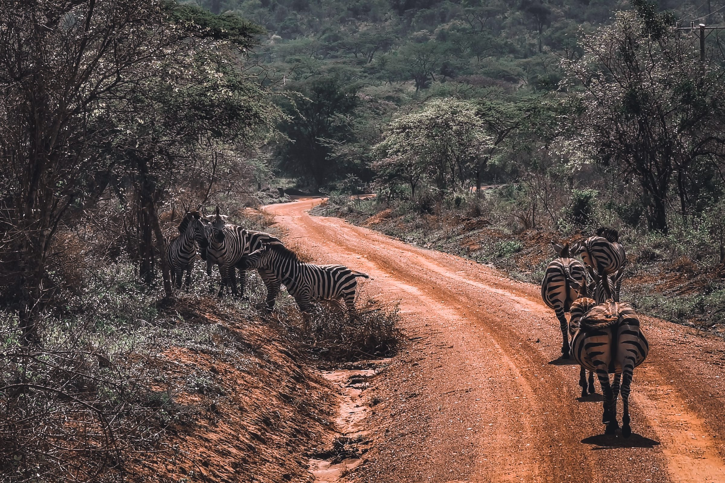 Uganda 2021 | © Chris Thomassen - Wereldreizigers.nl