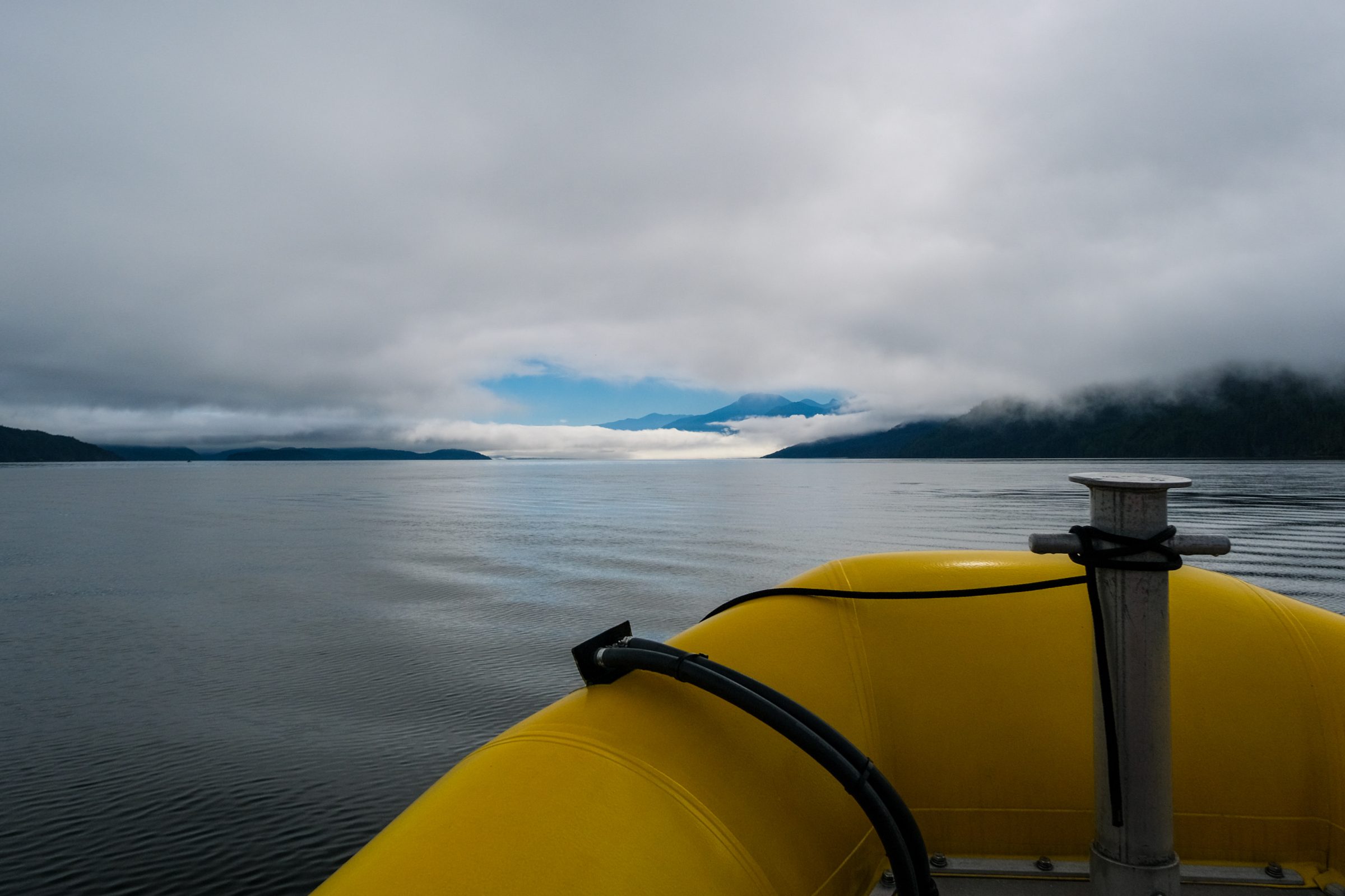 Mist en de zodiac boot tijdens de whale-watch tour  | Tips en hoogtepunten Vancouver Island