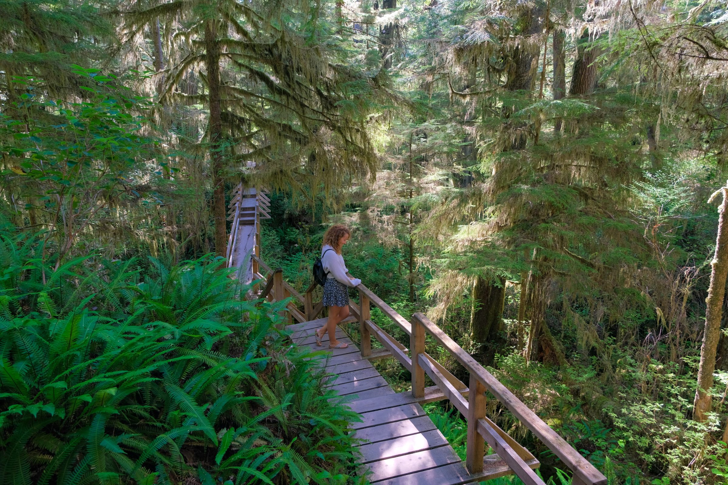 Rainforest trail | Tips en hoogtepunten Vancouver Island
