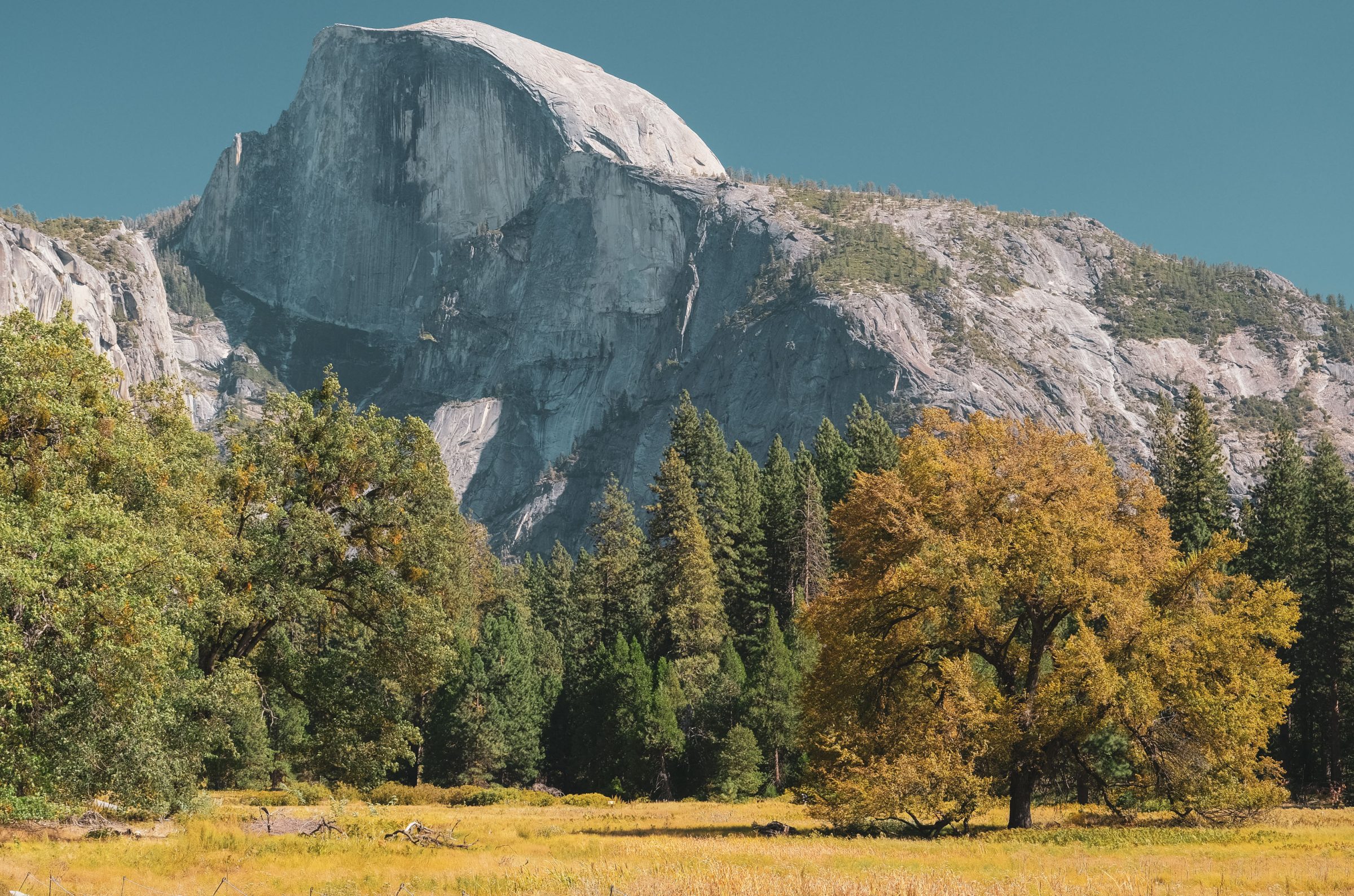 Half Dome vanuit de vallei | Tips voor Yosemite National Park 