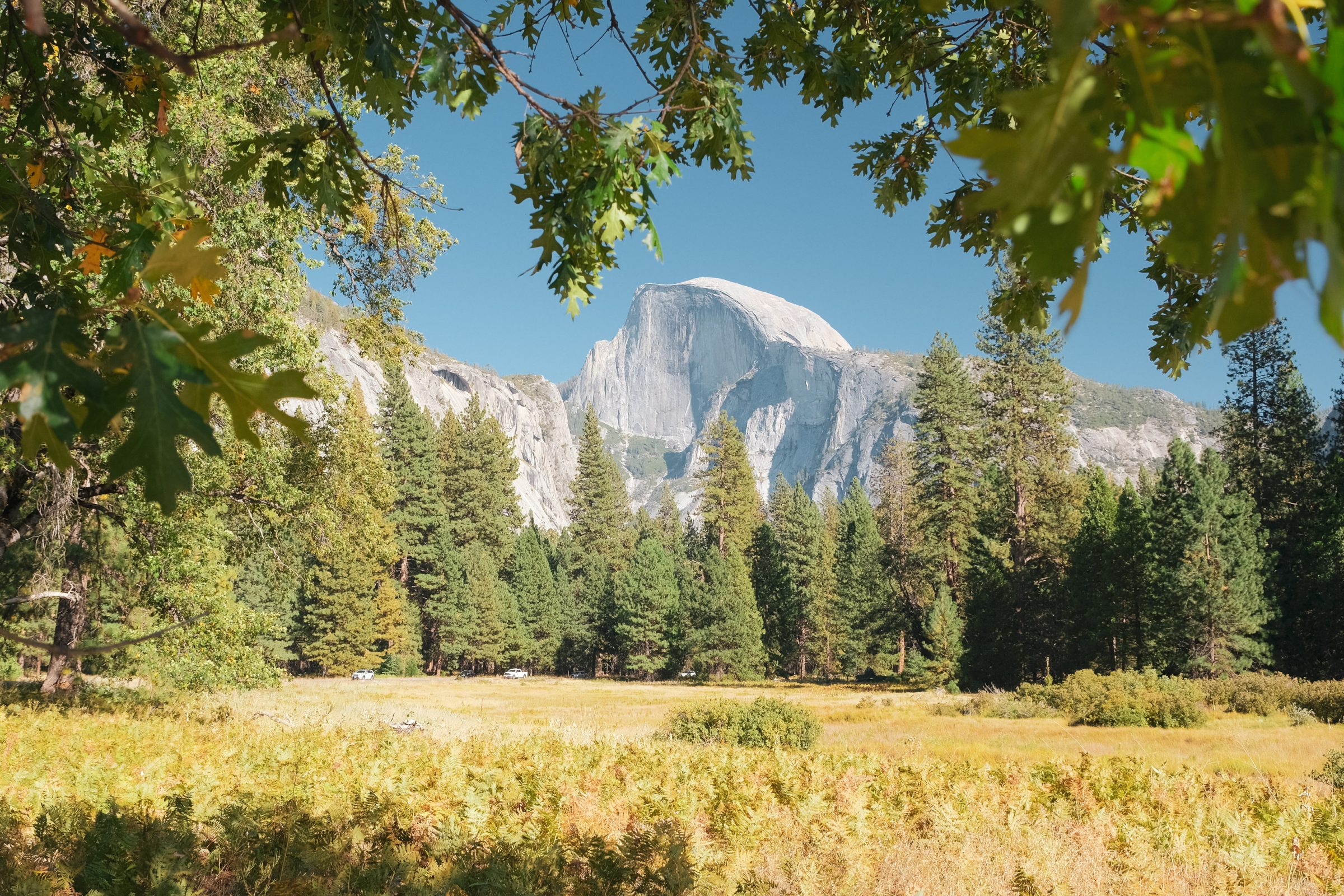 Half Dome vanuit de meadows in Yosemite Valley