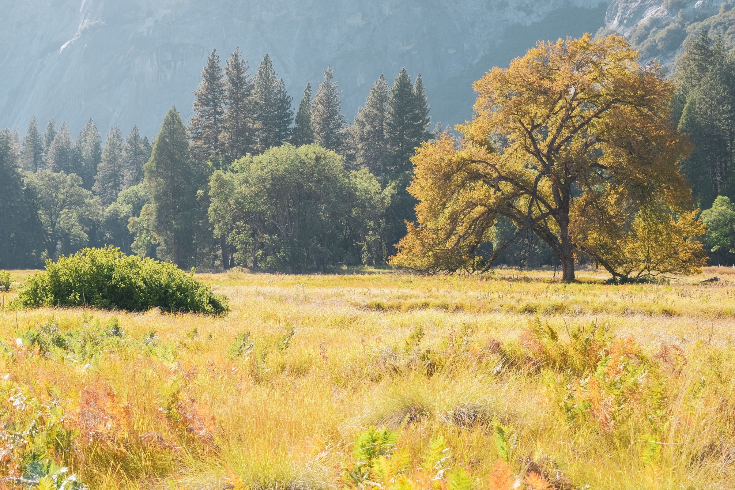 Tips for Yosemite Valley nasjonalpark