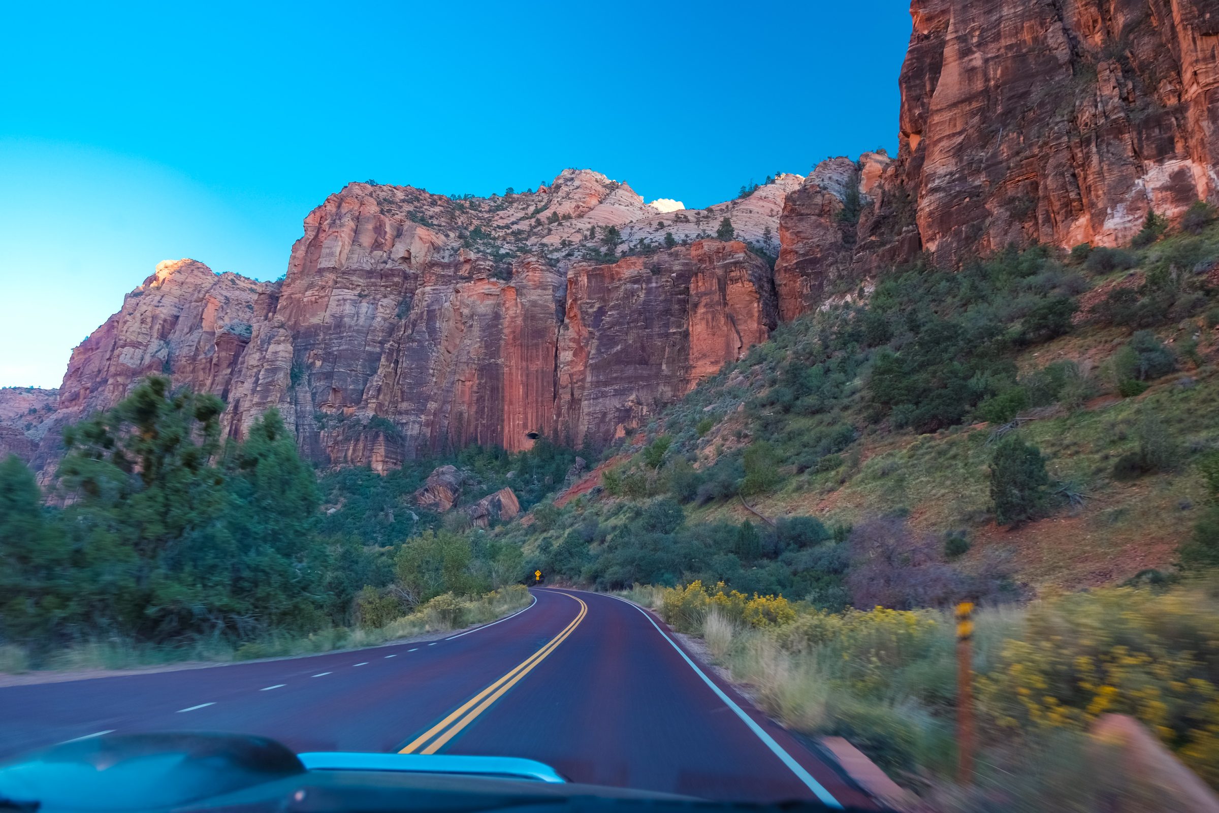 Zion National Park | Highlights of the West